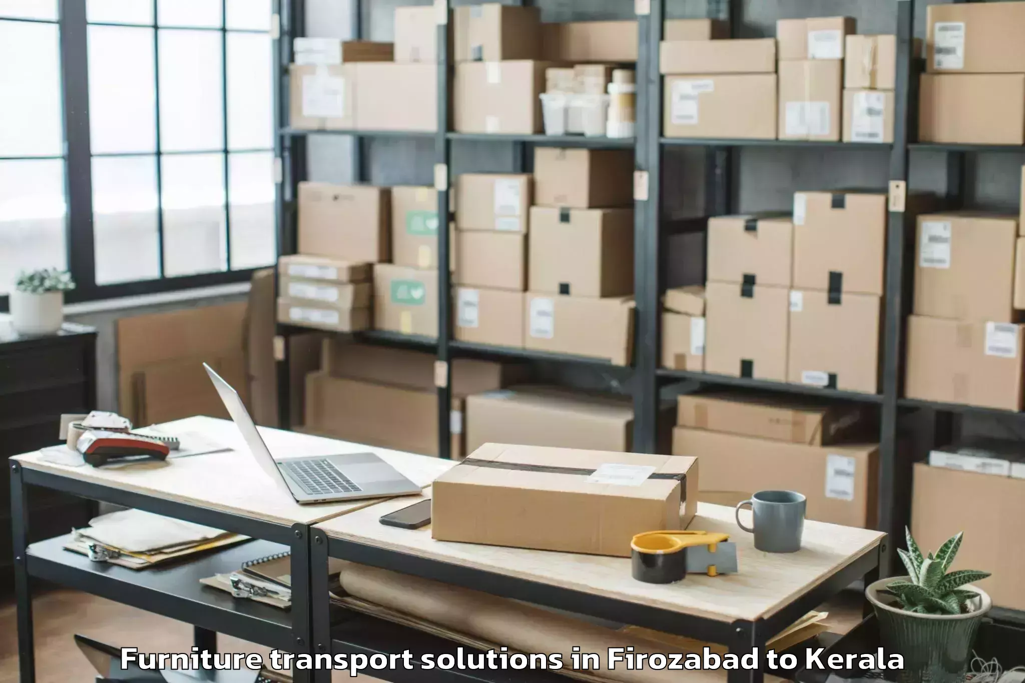 Professional Firozabad to Kodamthuruth Furniture Transport Solutions